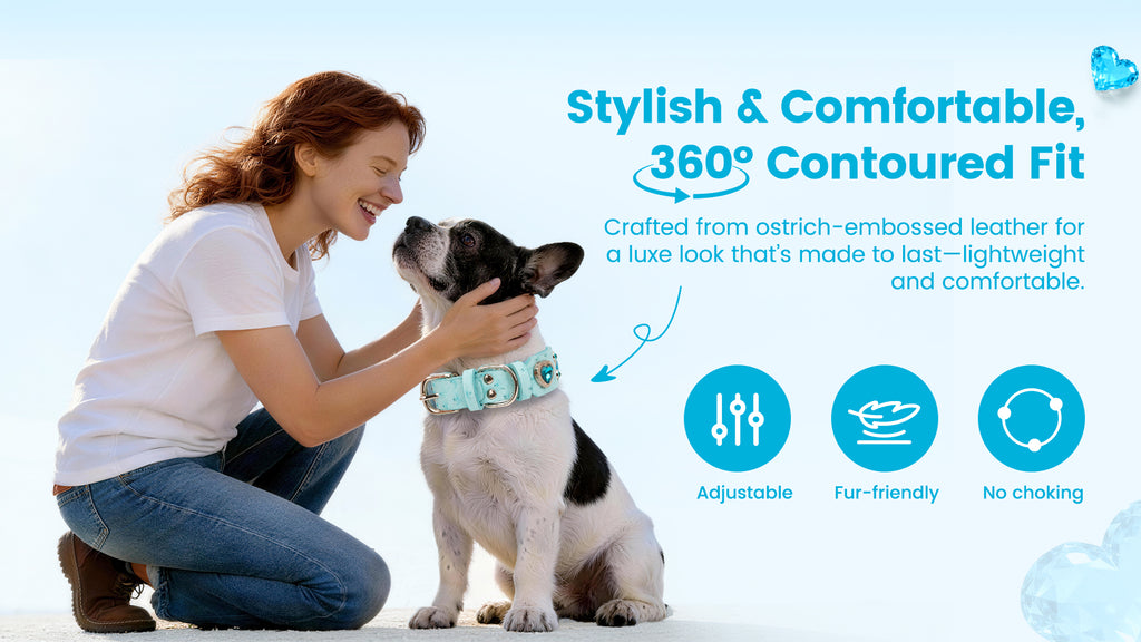 Collier PawView série Wish motif autruche avec médaille QR d’identification pour animaux