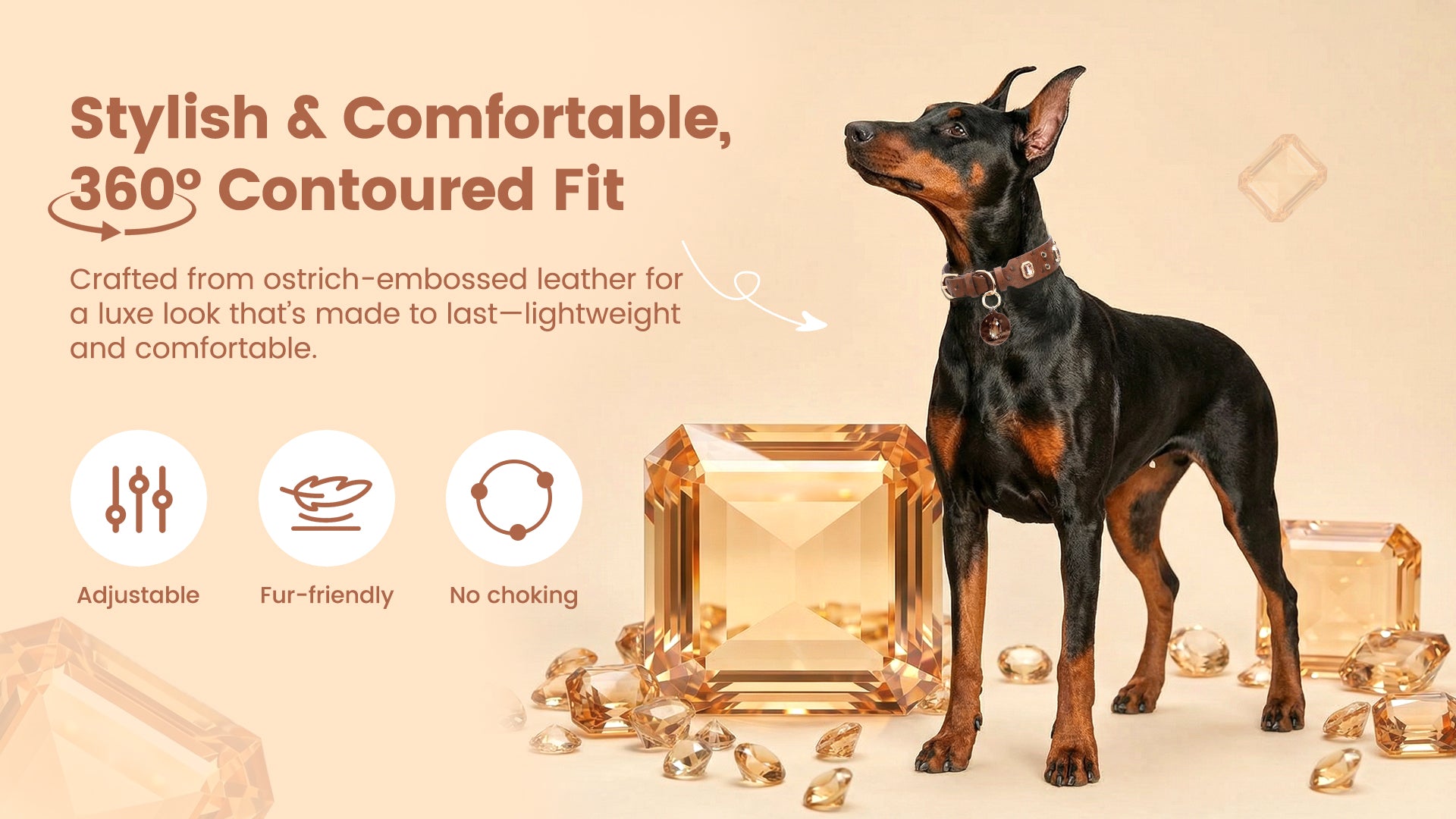 Collier PawView série Wish motif autruche avec médaille QR d’identification pour animaux