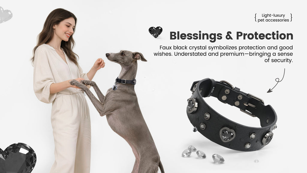 Collier PawView série Wish motif autruche avec médaille QR d’identification pour animaux