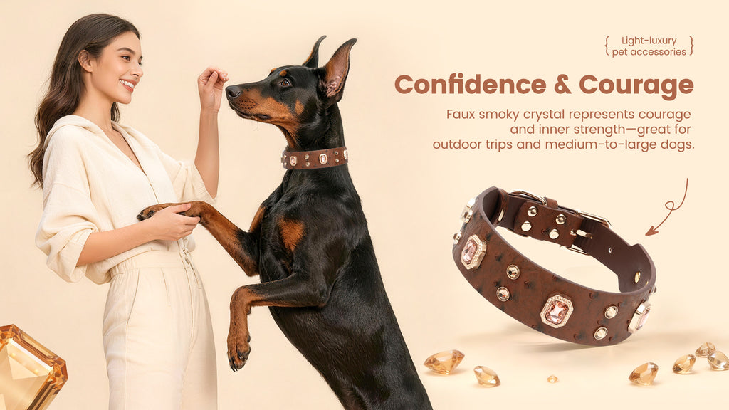 Collier PawView série Wish motif autruche avec médaille QR d’identification pour animaux