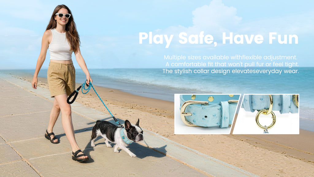 Collier PawView série Wish motif autruche avec médaille QR d’identification pour animaux