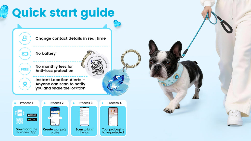 Collier PawView série Wish motif autruche avec médaille QR d’identification pour animaux