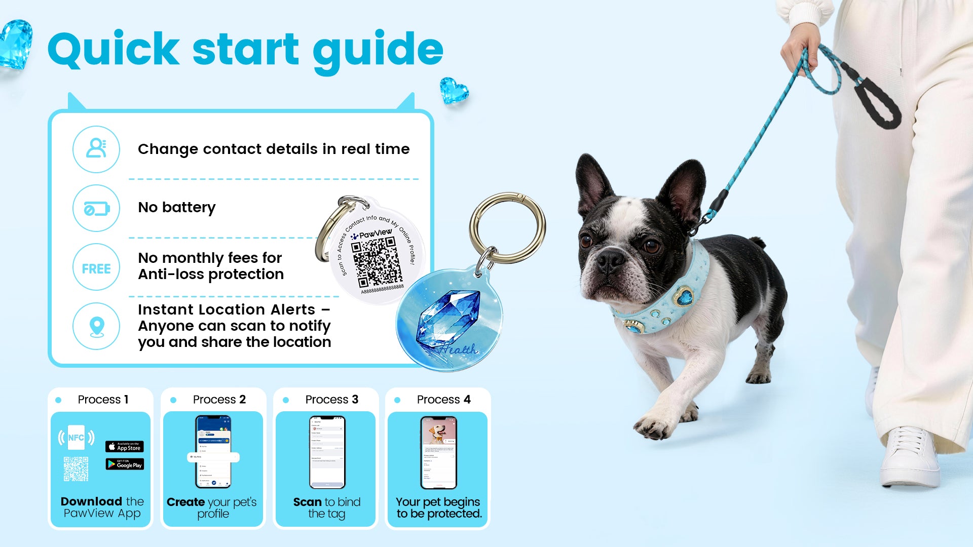 Collier PawView série Wish motif autruche avec médaille QR d’identification pour animaux