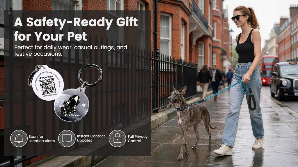 Collier PawView série Wish motif autruche avec médaille QR d’identification pour animaux