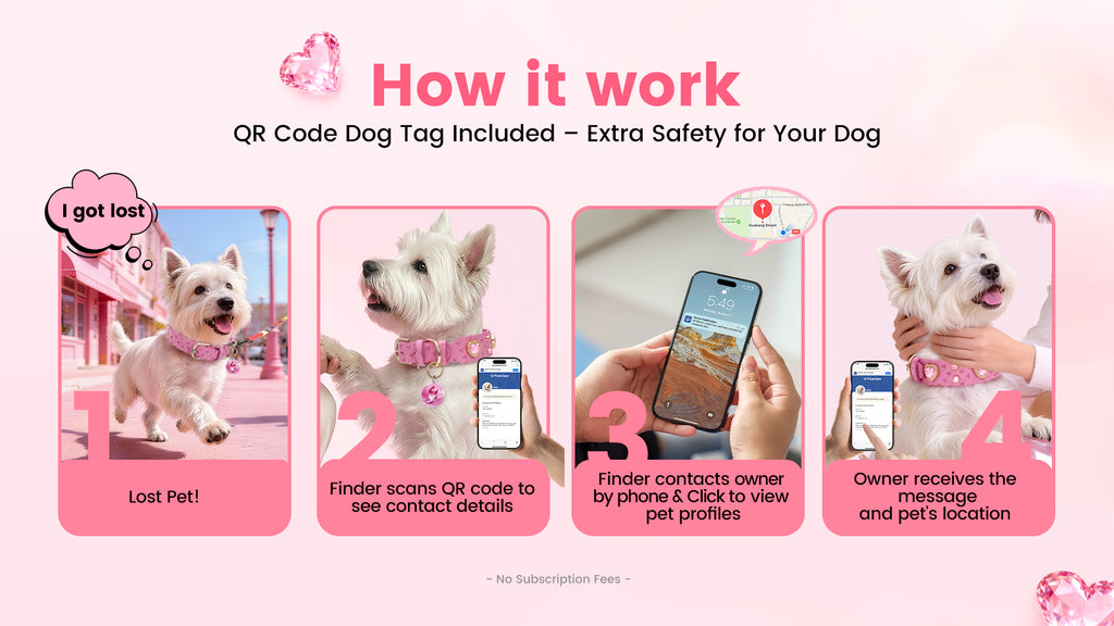 Collier PawView série Wish motif autruche avec médaille QR d’identification pour animaux