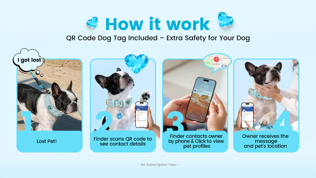 Collier PawView série Wish motif autruche avec médaille QR d’identification pour animaux