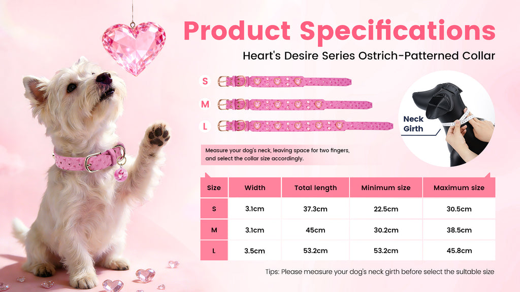 Collier PawView série Wish motif autruche avec médaille QR d’identification pour animaux