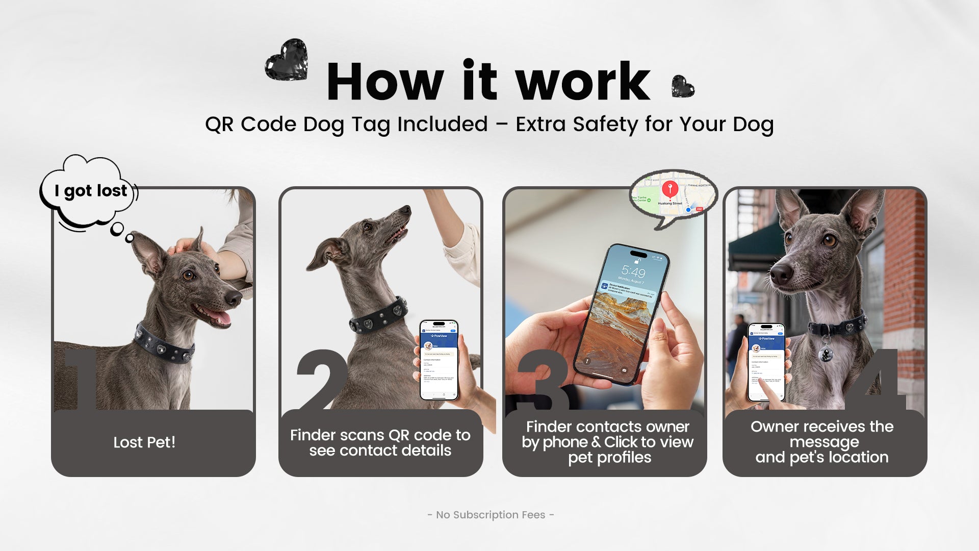 Collier PawView série Wish motif autruche avec médaille QR d’identification pour animaux